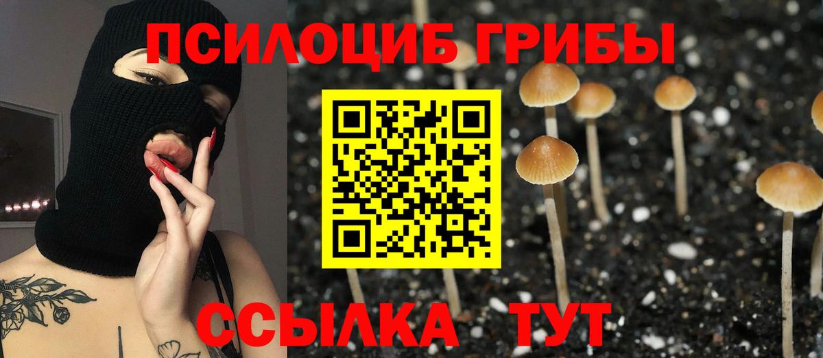 Архангельск  купить   Вход с VPN  Псилоцибиновые грибы ЛСД 